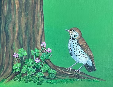 Wood Thrush and Violet Wood Sorrel