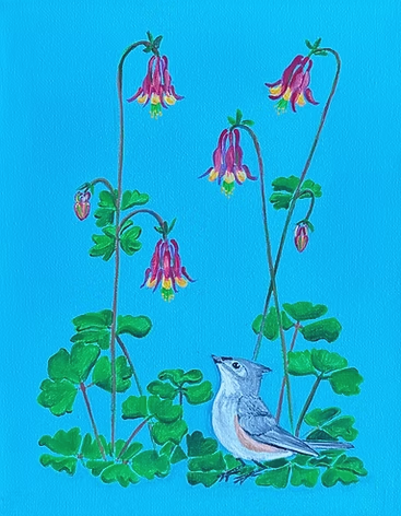 Tufted Titmouse under Wild Red Columbine