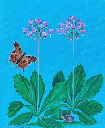 Questionmark Butterfly and Garden Snail Under Shooting Stars