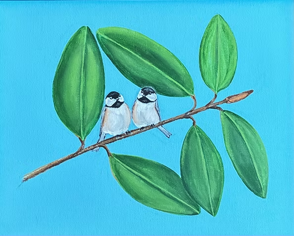 Carolina Chickadees Atop a Southern Magnolia