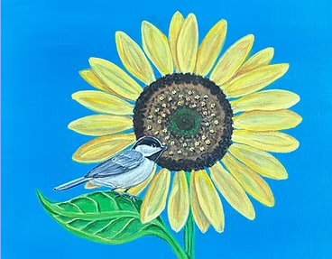 Chickadee on a Sunflower