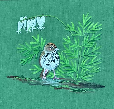 Oven Bird Under Squirrel Corn