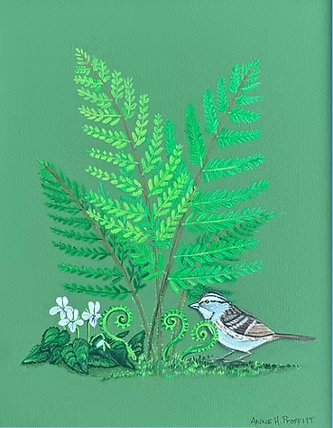 White-throated Sparrow with Cream Violet Flowers under an Appalachian Woodsia
