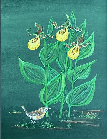 Caroline Wren under Kentucky Yellow Lady Slippers