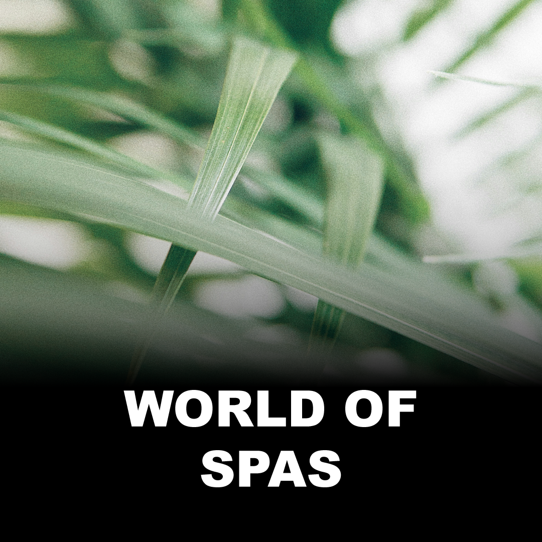 WORLD OF SPAS