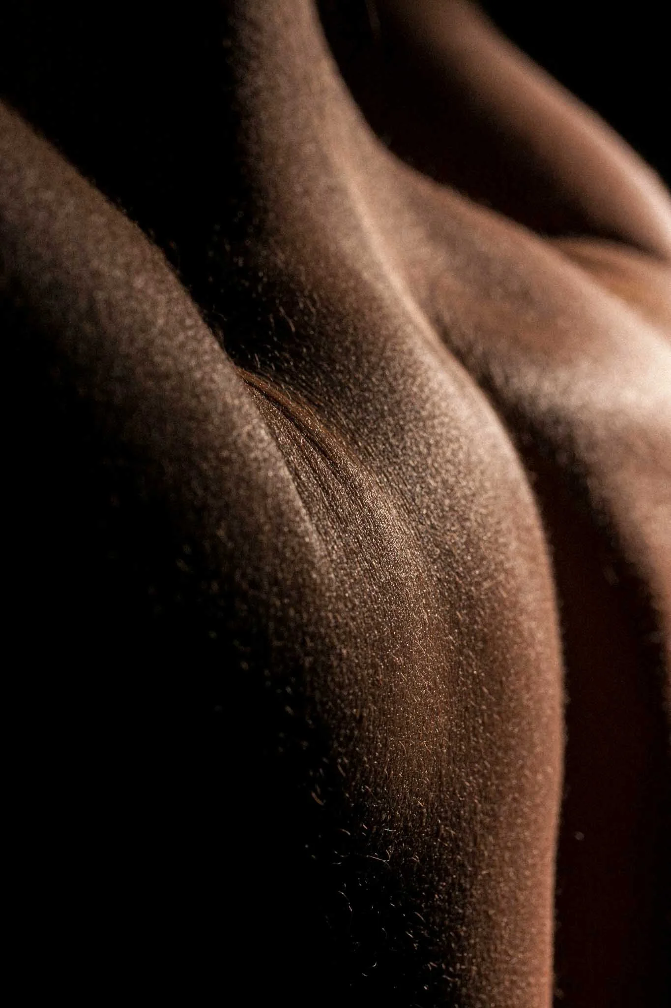 A close-up of brown silk or satin fabric, showing its smooth texture and gentle folds.
