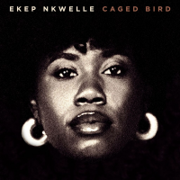 Ekep Nkwelle’s “Caged Bird”