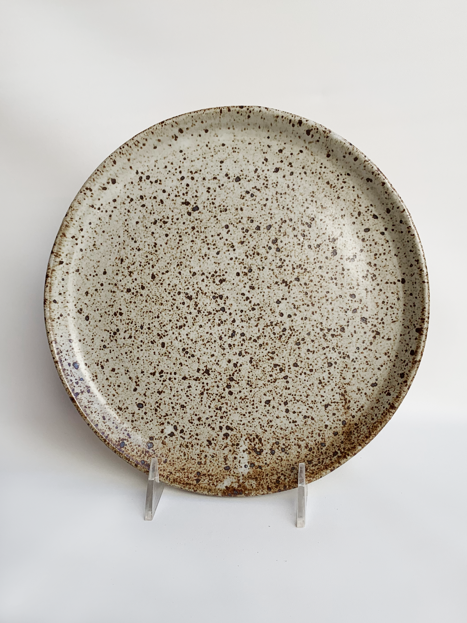 Speckled Stoneware Dinner Plate