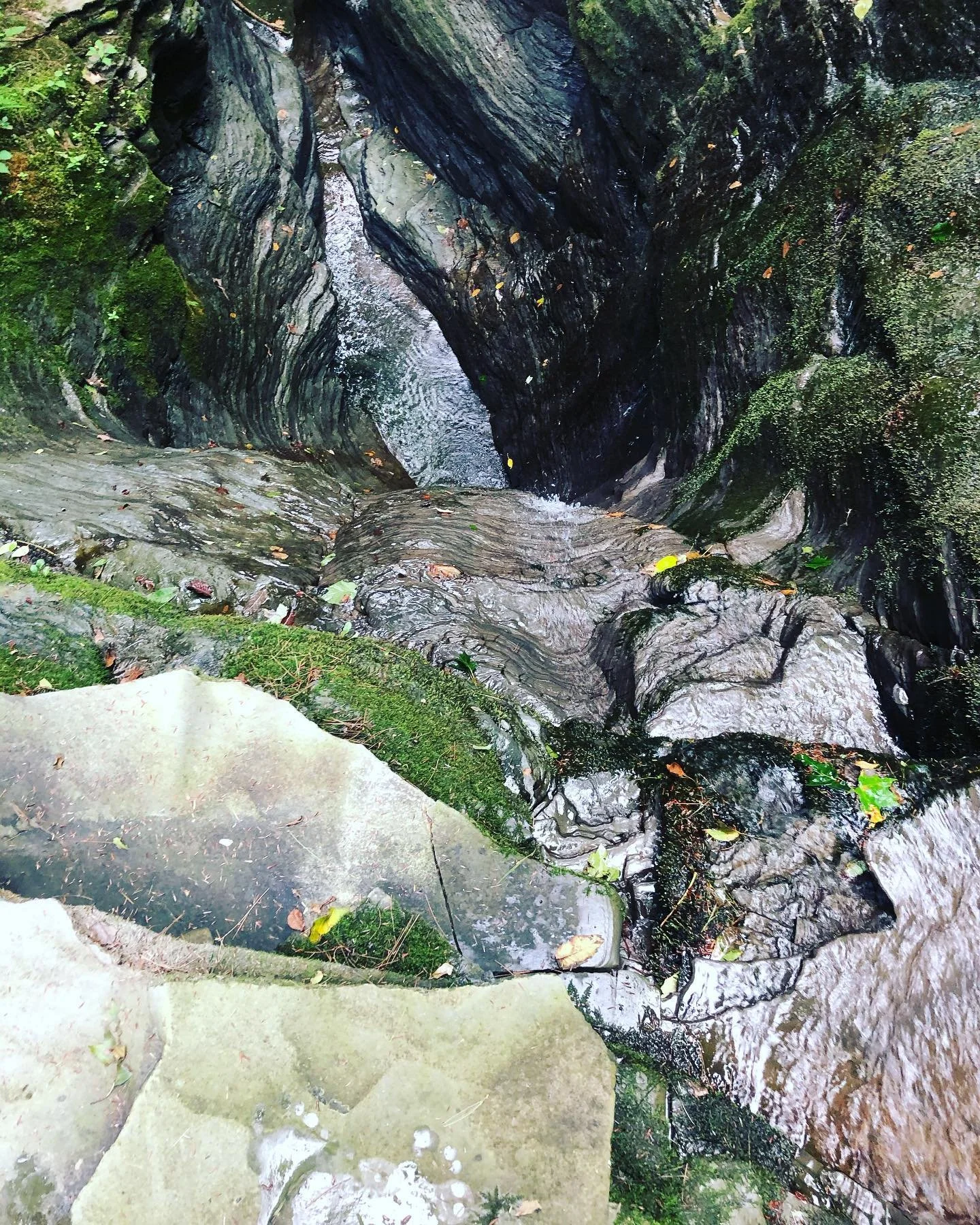 View of a narrow, rocky stream with moss-covered rocks and tree roots bordering the water, taken from above.