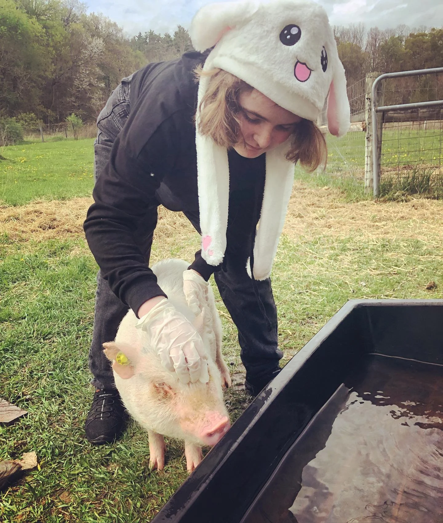 Person wearing a cute animal hat and gloves, handling a piglet near a water trough on a farm.