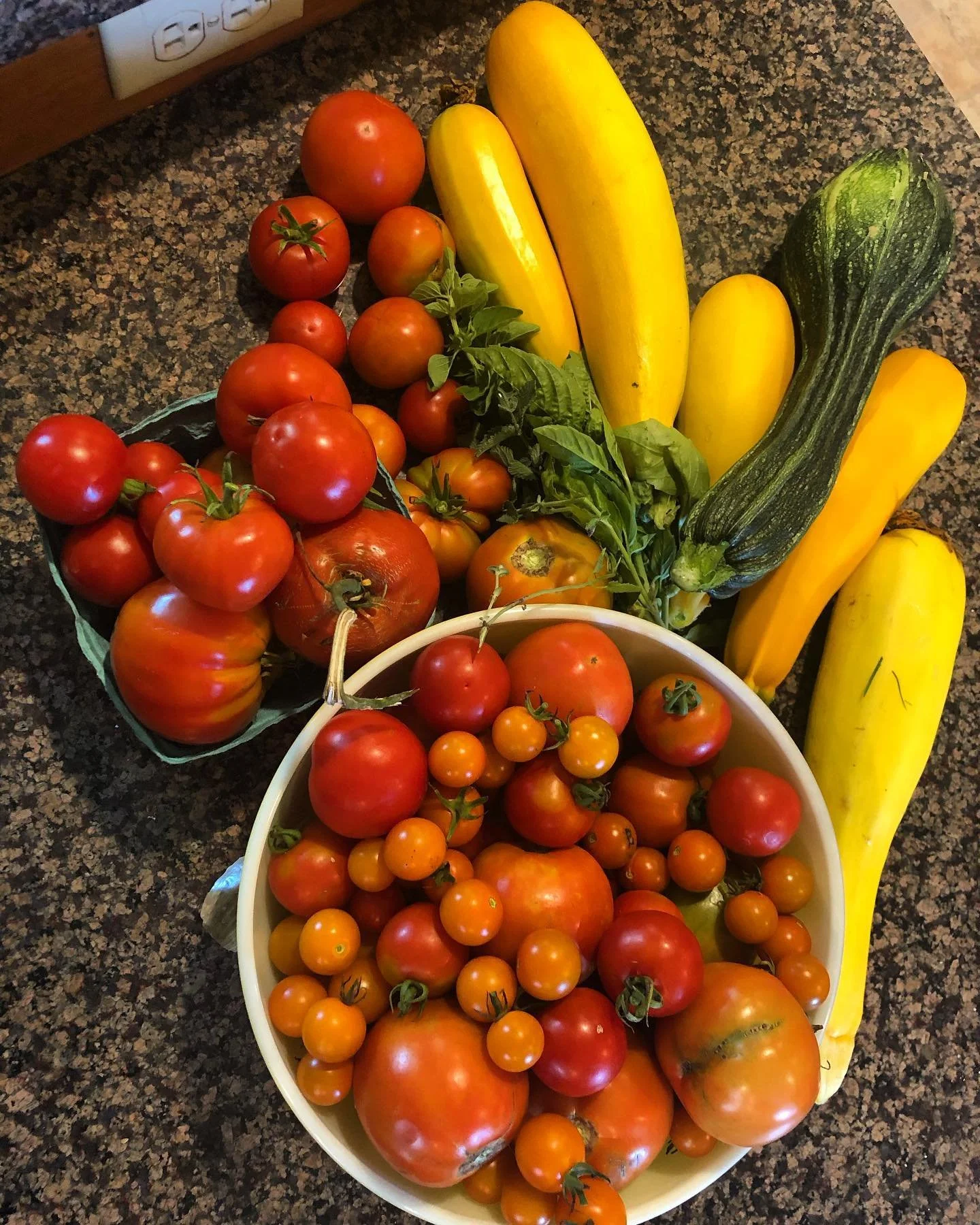 A collection of fresh vegetables including heirloom and cherry tomatoes, yellow zucchini, a green zucchini, and basil leaves on a dark kitchen countertop.