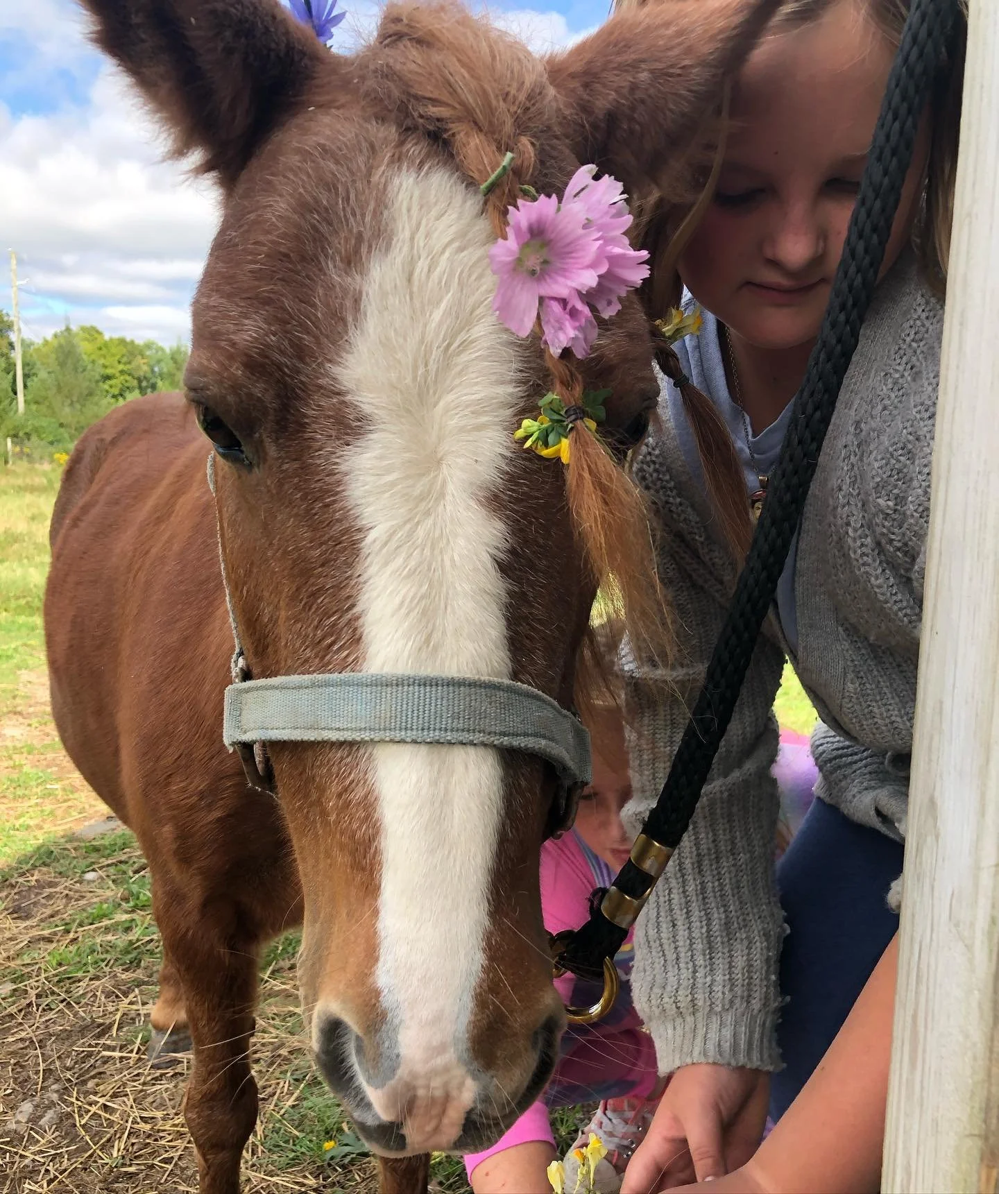 A girl with braided hair decorated with flowers leans over a brown and white horse with a halter, near a wooden post outdoors.