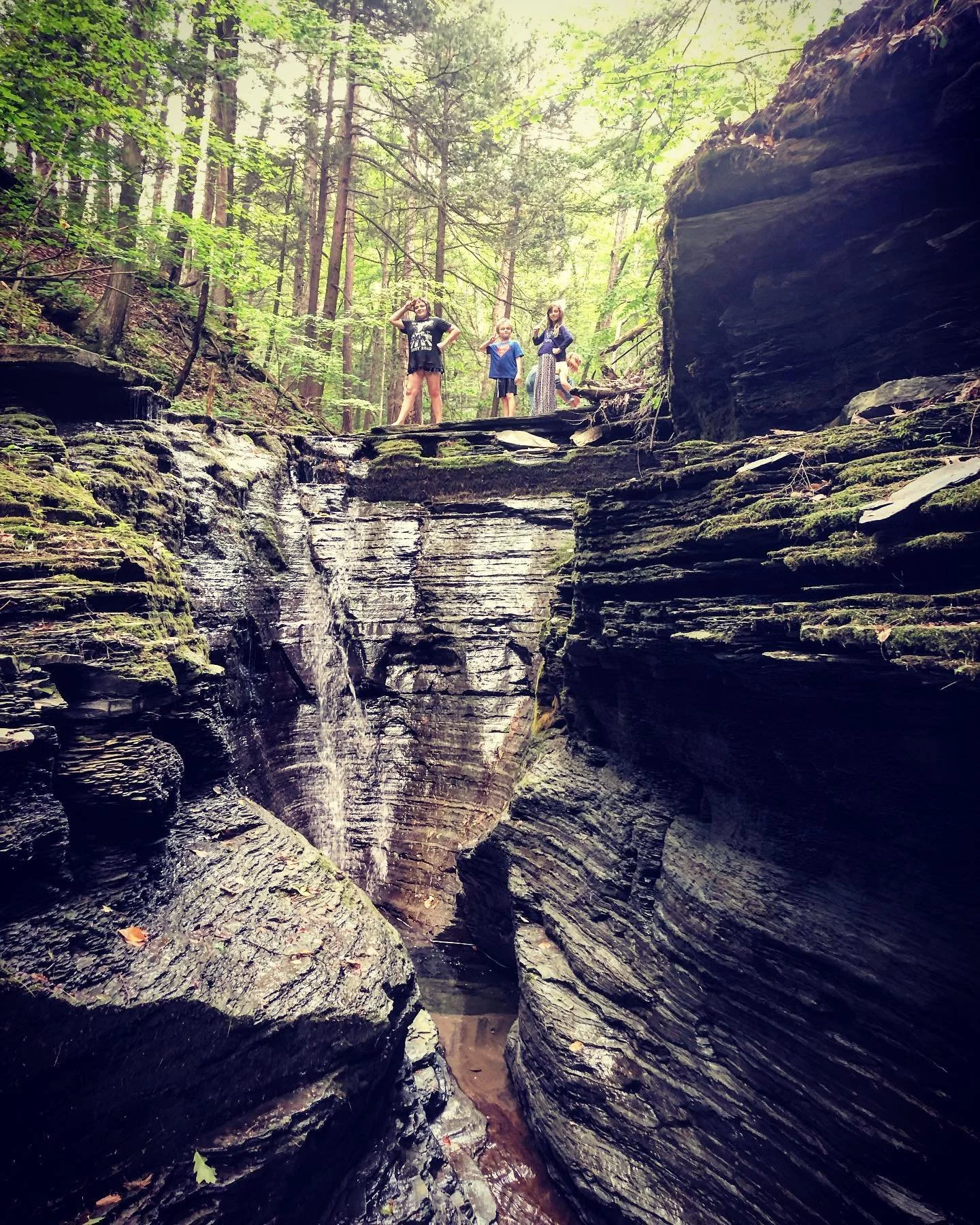 Three children standing on a rocky ledge above a small waterfall in a dense wooded forest with sunlight filtering through the trees.