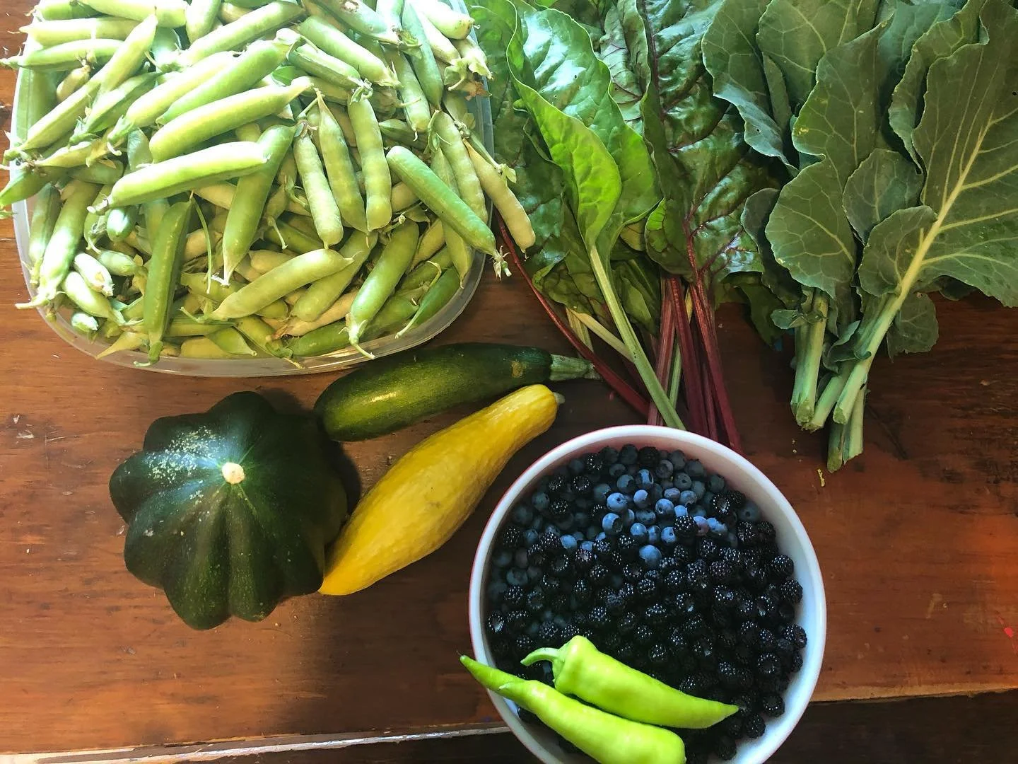 Fresh vegetables including green beans, Swiss chard, zucchini, pumpkin, blueberries, and peppers on a wooden surface.