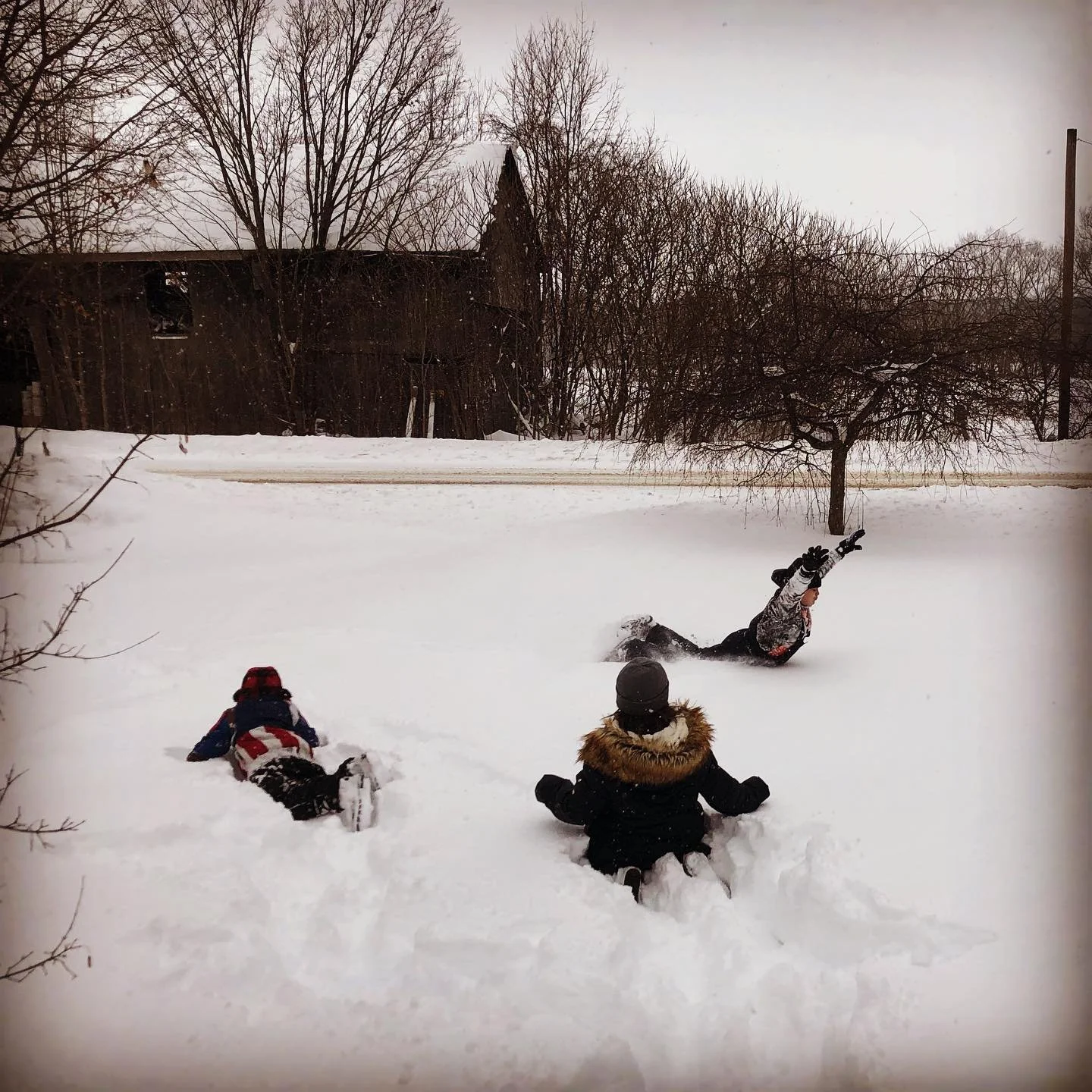 Children playing in the snow, with one child falling and the other two lying on the snow, in a snowy outdoor area with bare trees and a building in the background.