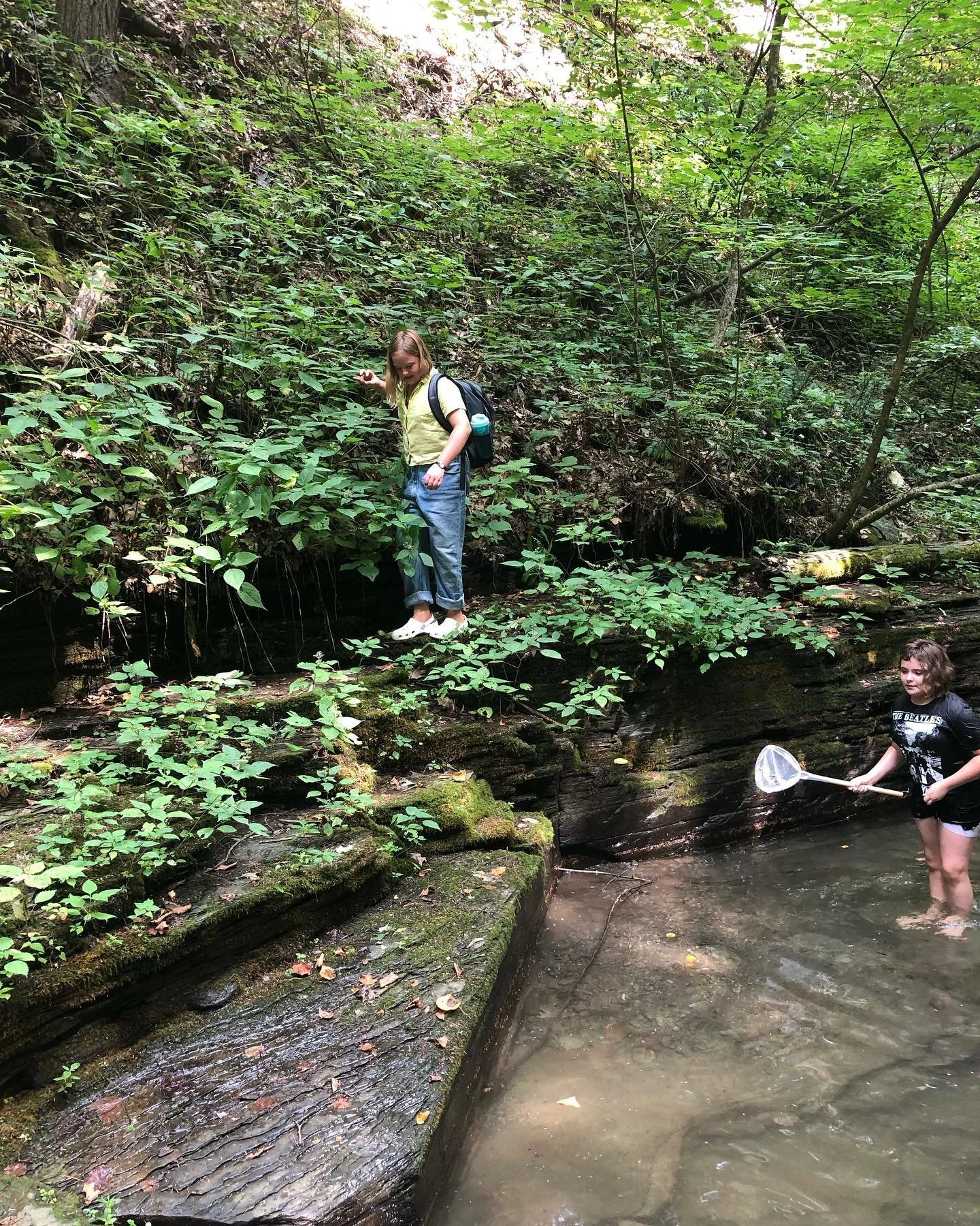 Two children exploring a forest creek, one standing on a fallen log with a backpack, and the other with a butterfly net in the water.