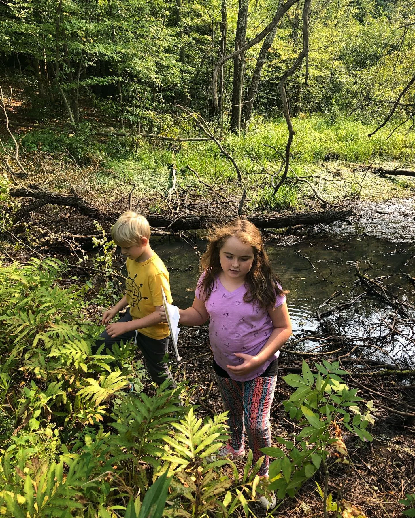 Two children, a girl and a boy, standing near a small stream in a forested area, surrounded by trees and green foliage.