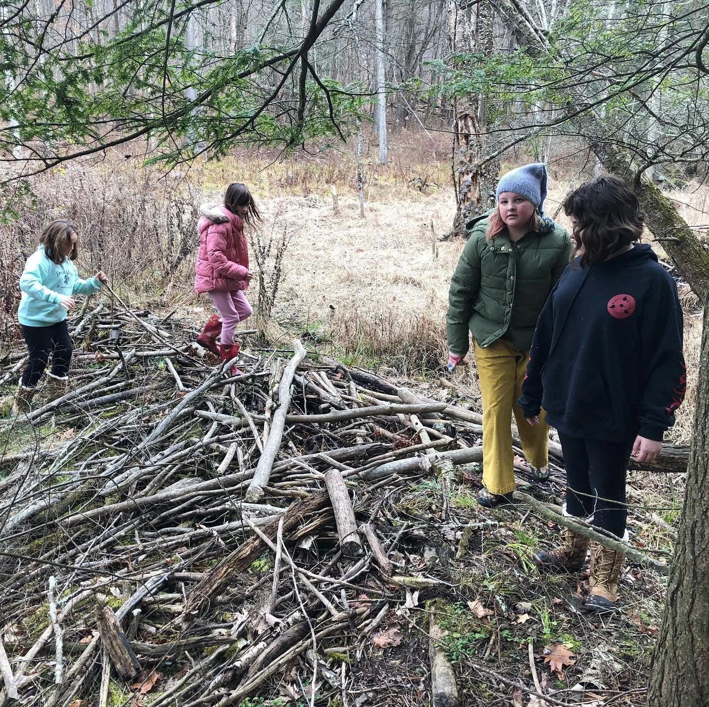 Four children exploring a pile of sticks and fallen branches in a forested area during autumn.