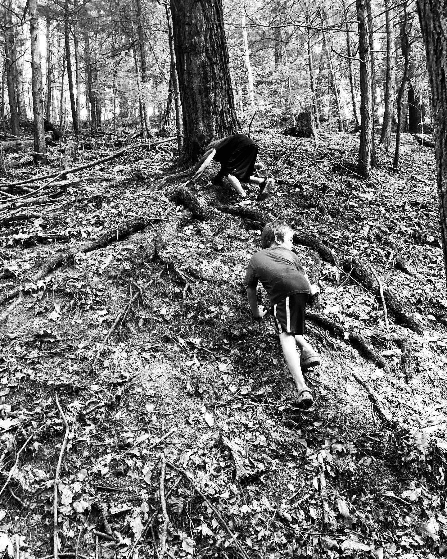 Two children climbing up a wooded hillside on a fallen log.