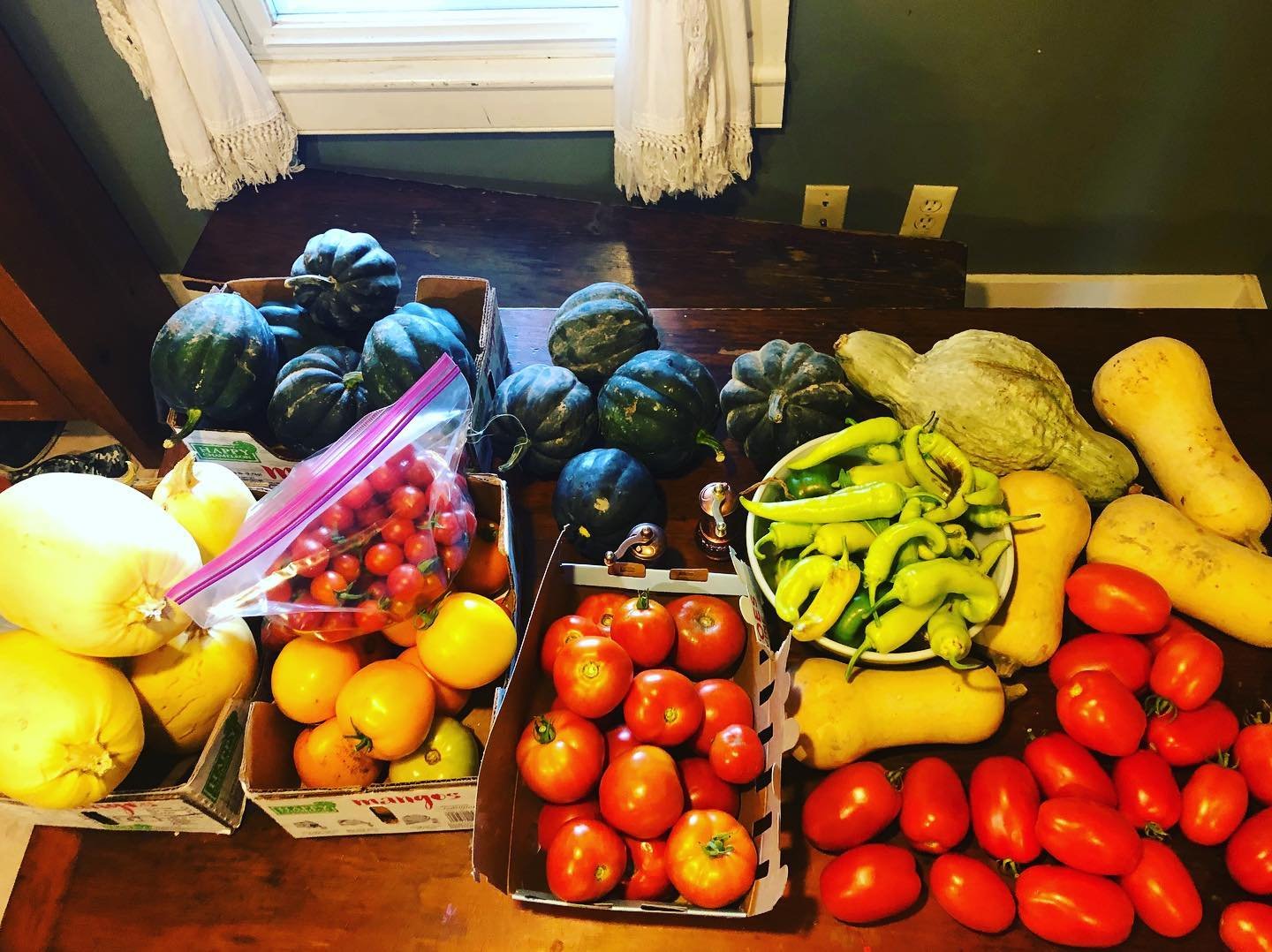 A variety of fresh vegetables and fruits on a wooden table, including yellow chayote, watermelons, cherry tomatoes, heirloom tomatoes, yellow squash, and green chilies in a bowl.