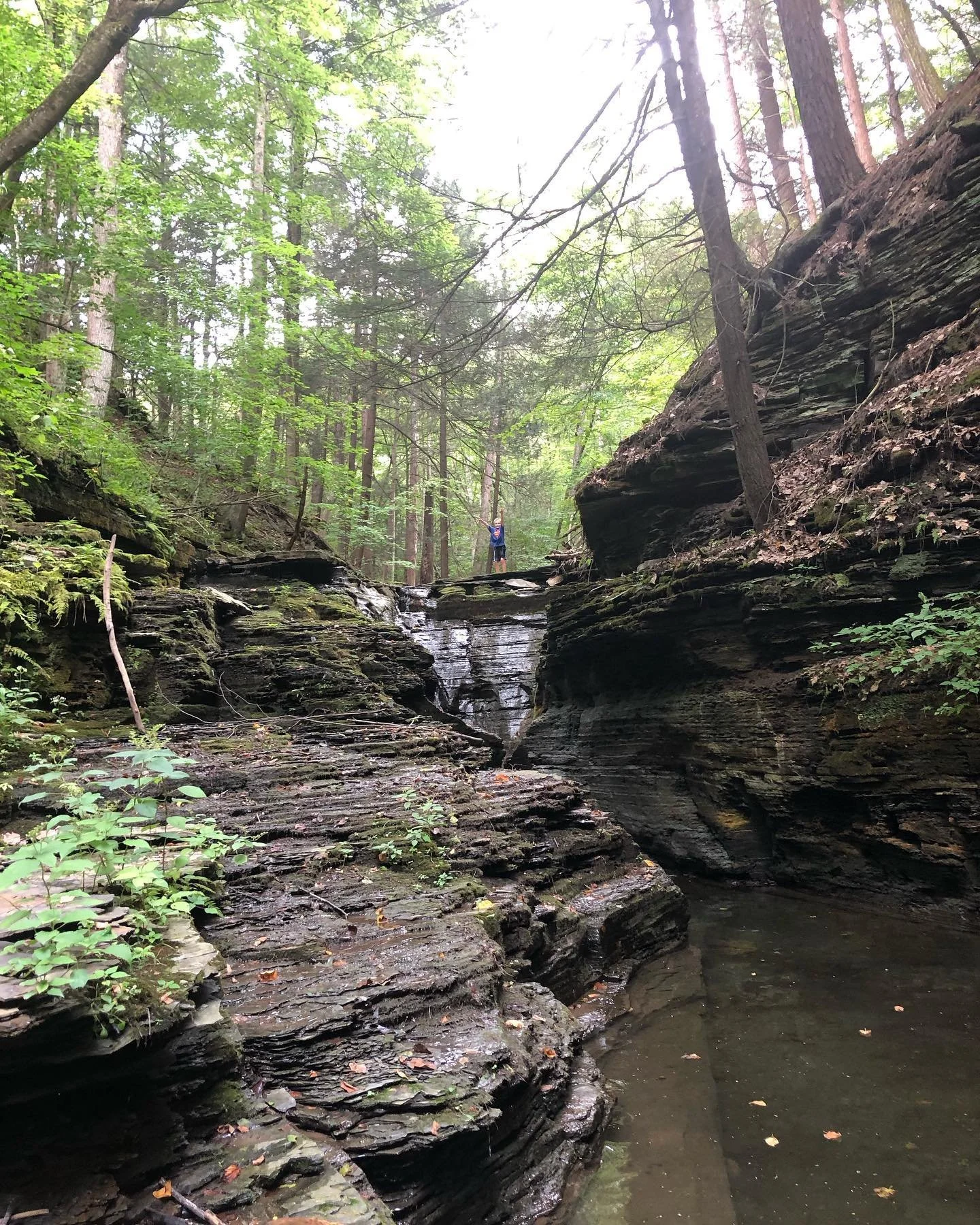 A person standing on rock formations in a forested area with a small waterfall and stream, surrounded by green trees and foliage.