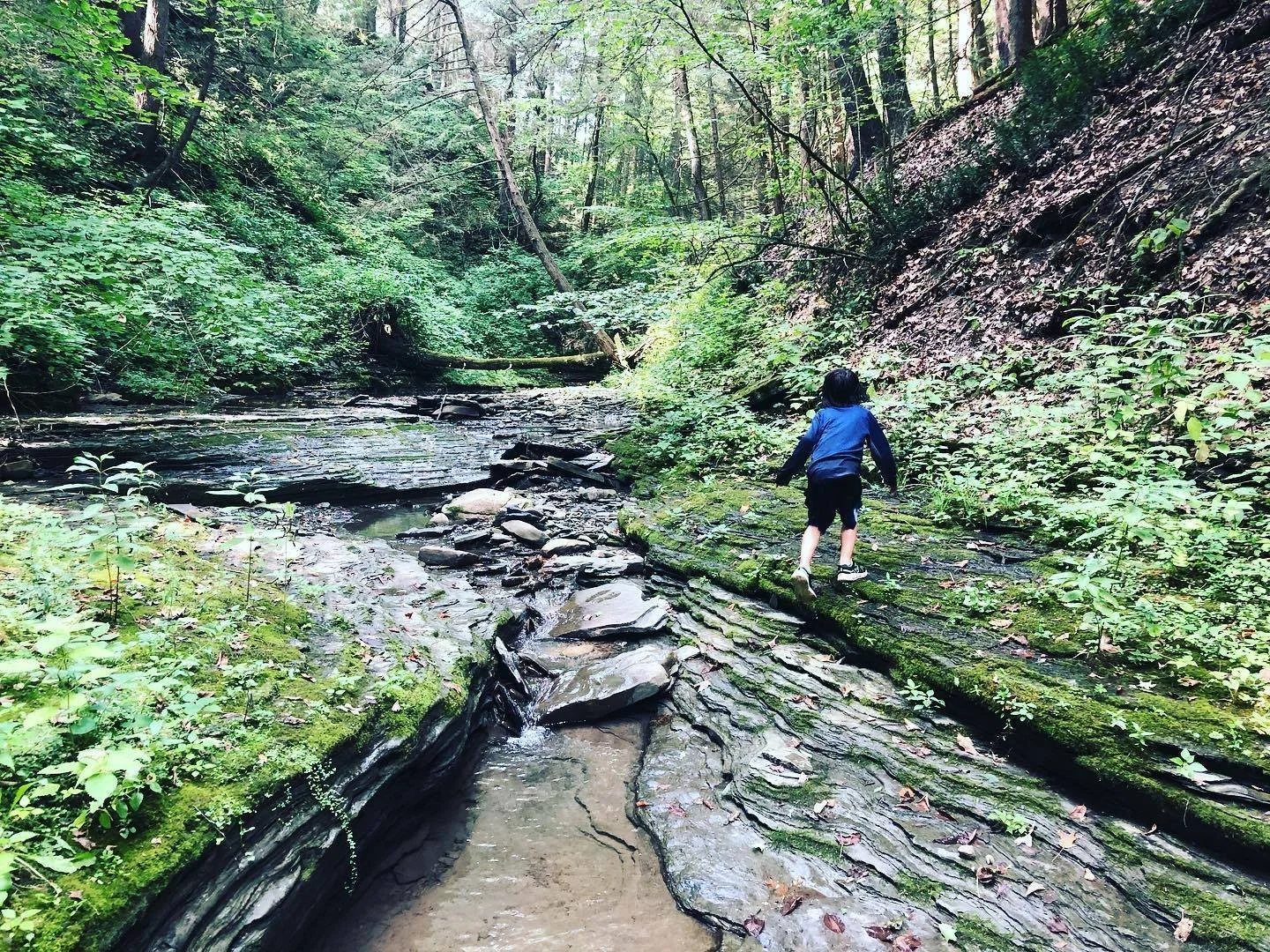 A young boy in a blue jacket and black shorts walking on a mossy log across a creek in a dense green forest.