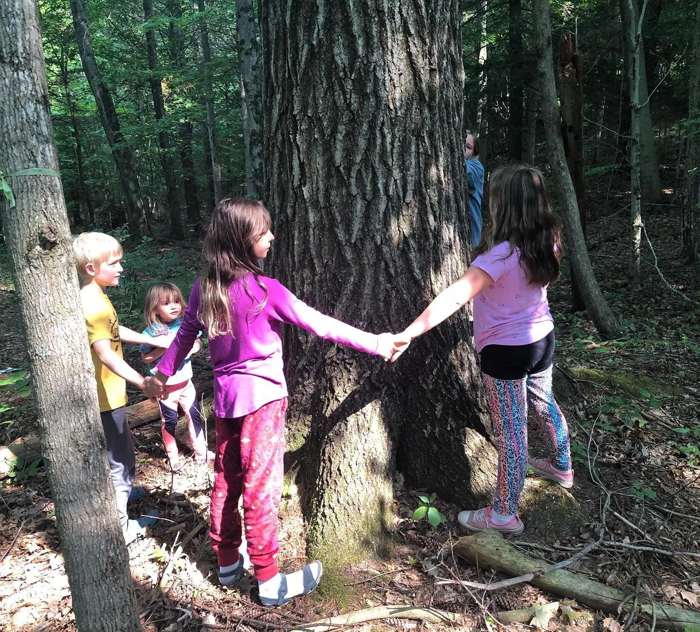 A group of five children standing in a forest around a large tree, holding hands and forming a chain.