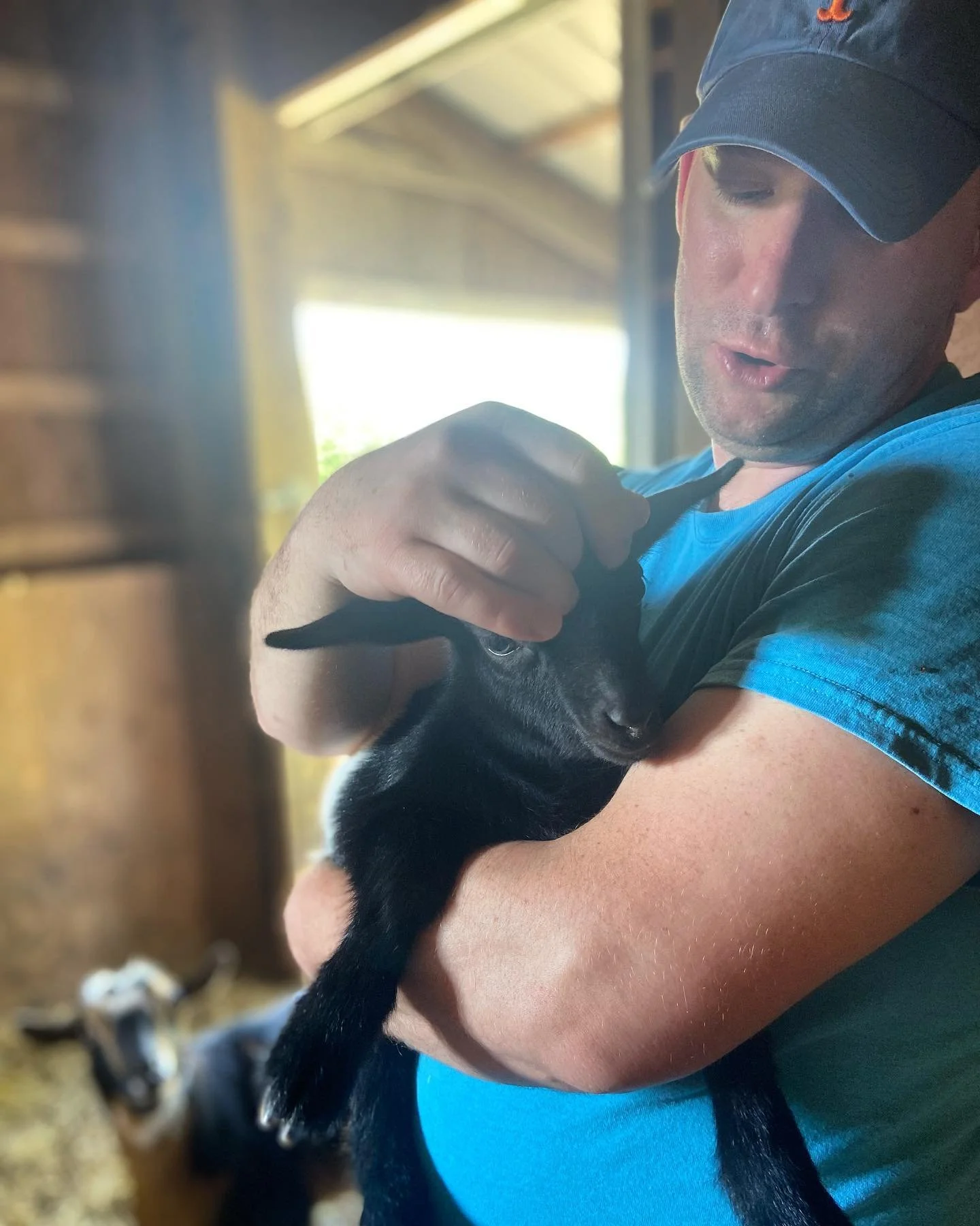A man wearing a blue shirt and baseball cap holding a small black goat. A second goat is in the background, inside a barn.