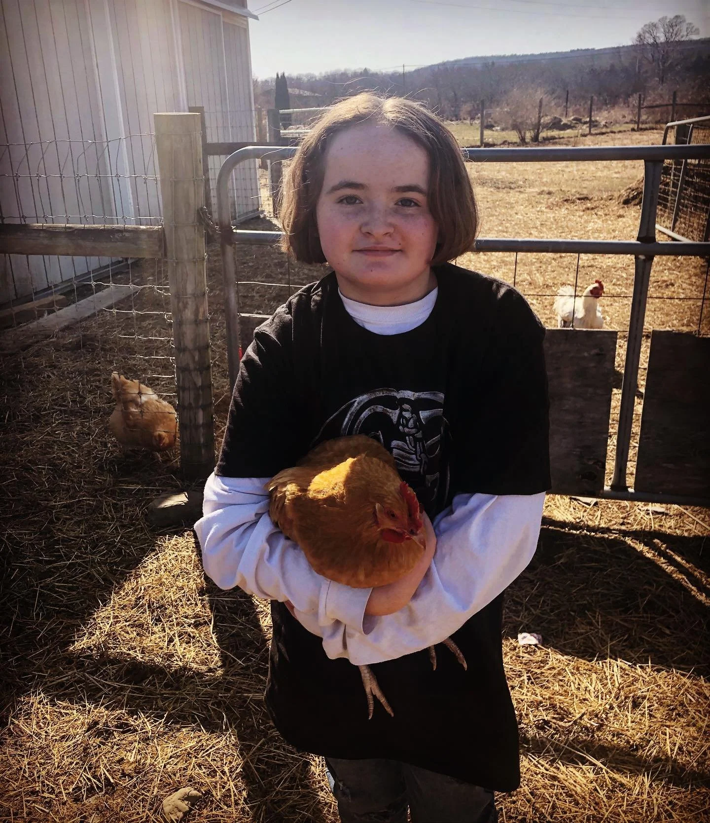 A girl holding a chicken in a farmyard with a chicken and a rooster in the background.