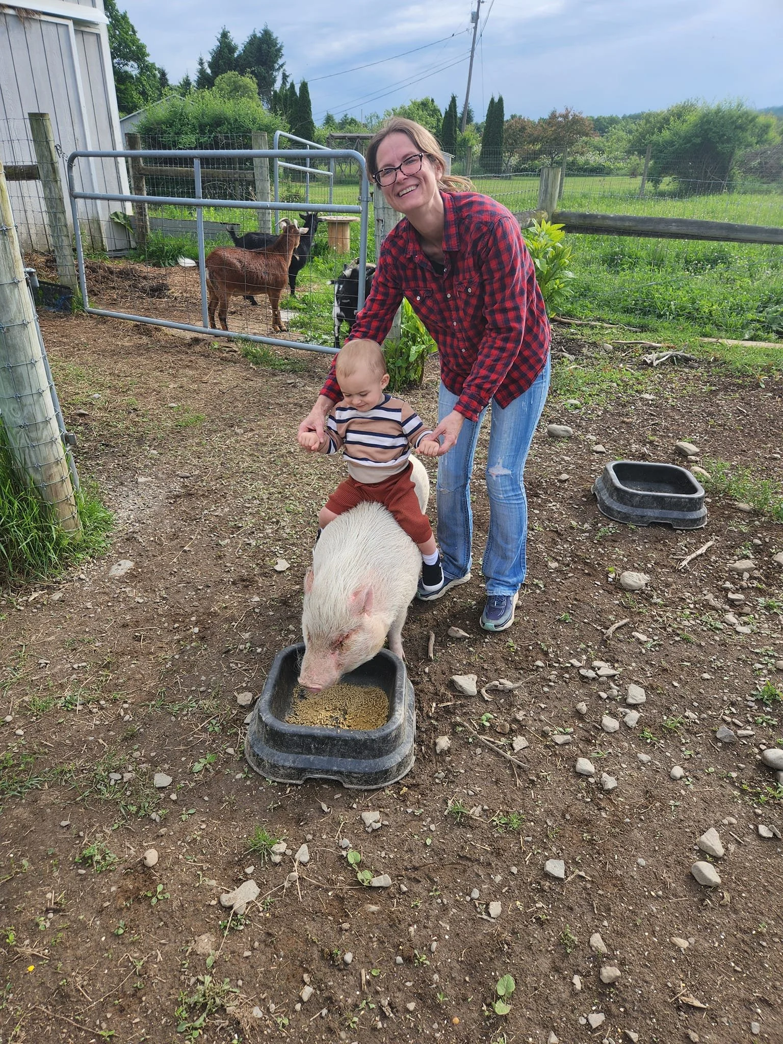 A woman and a young child interacting with a small pig on a farm, with goats in the background and green fields surrounding them.