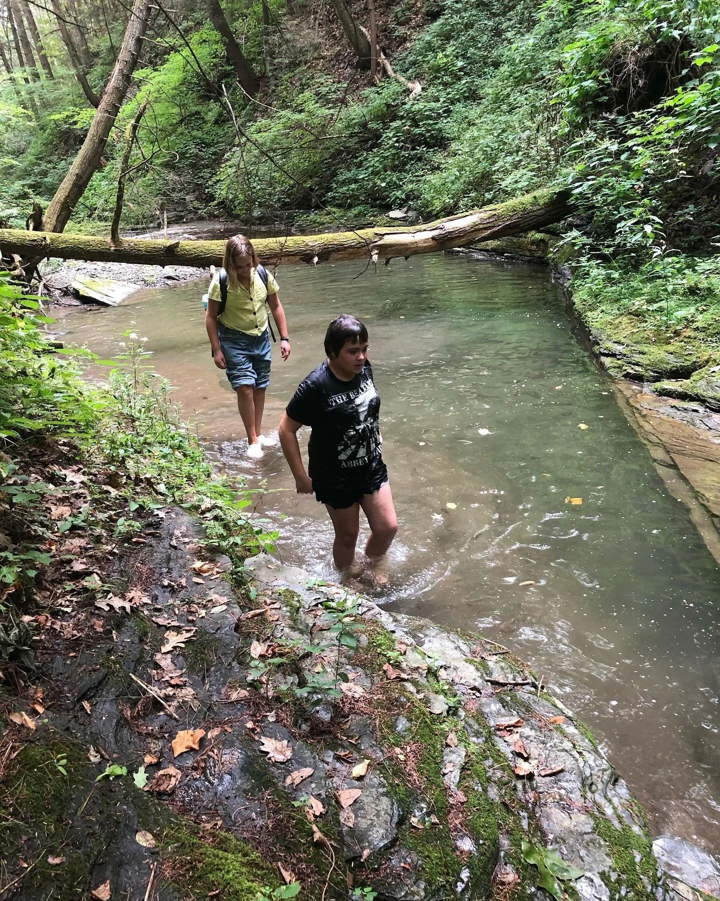 Two children walking through a shallow stream in a wooded area, with green foliage and fallen logs surrounding them.