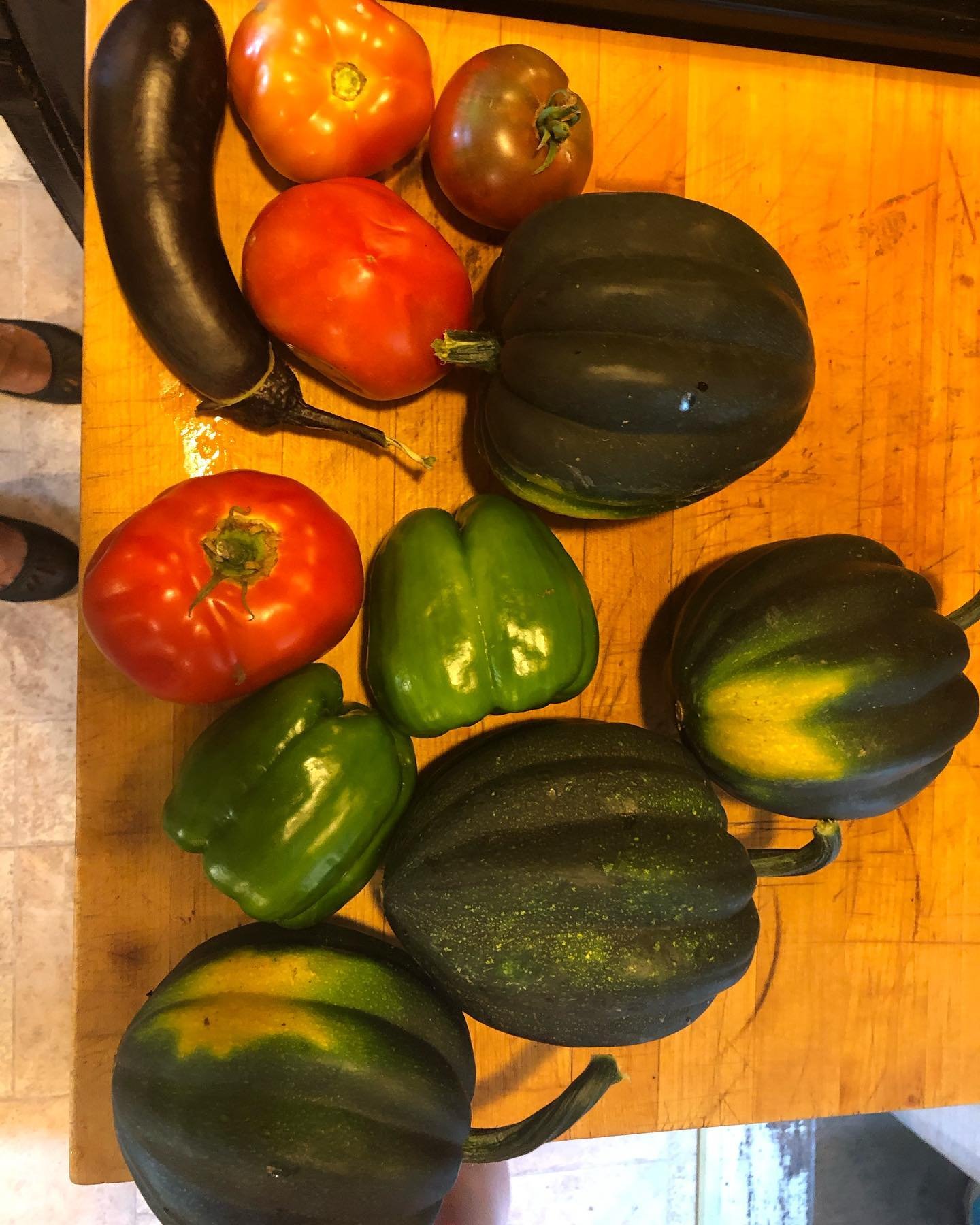 A variety of colorful vegetables including eggplants, tomatoes, and green peppers arranged on a wooden table.