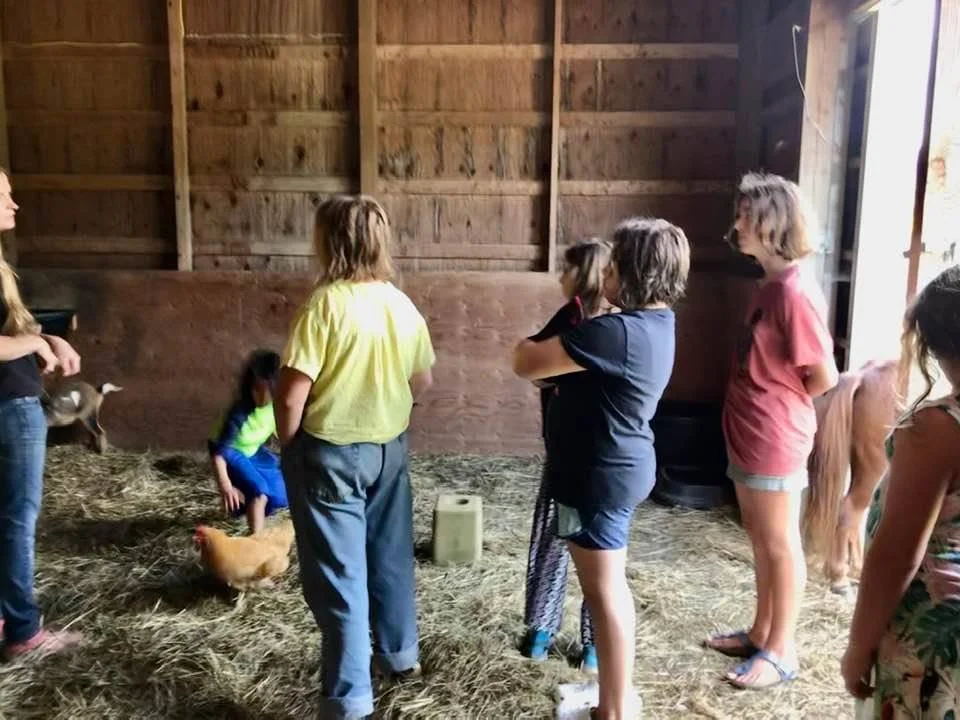 Children and adults inside a wooden barn with hay on the floor, watching and interacting with pet chickens and a goat.