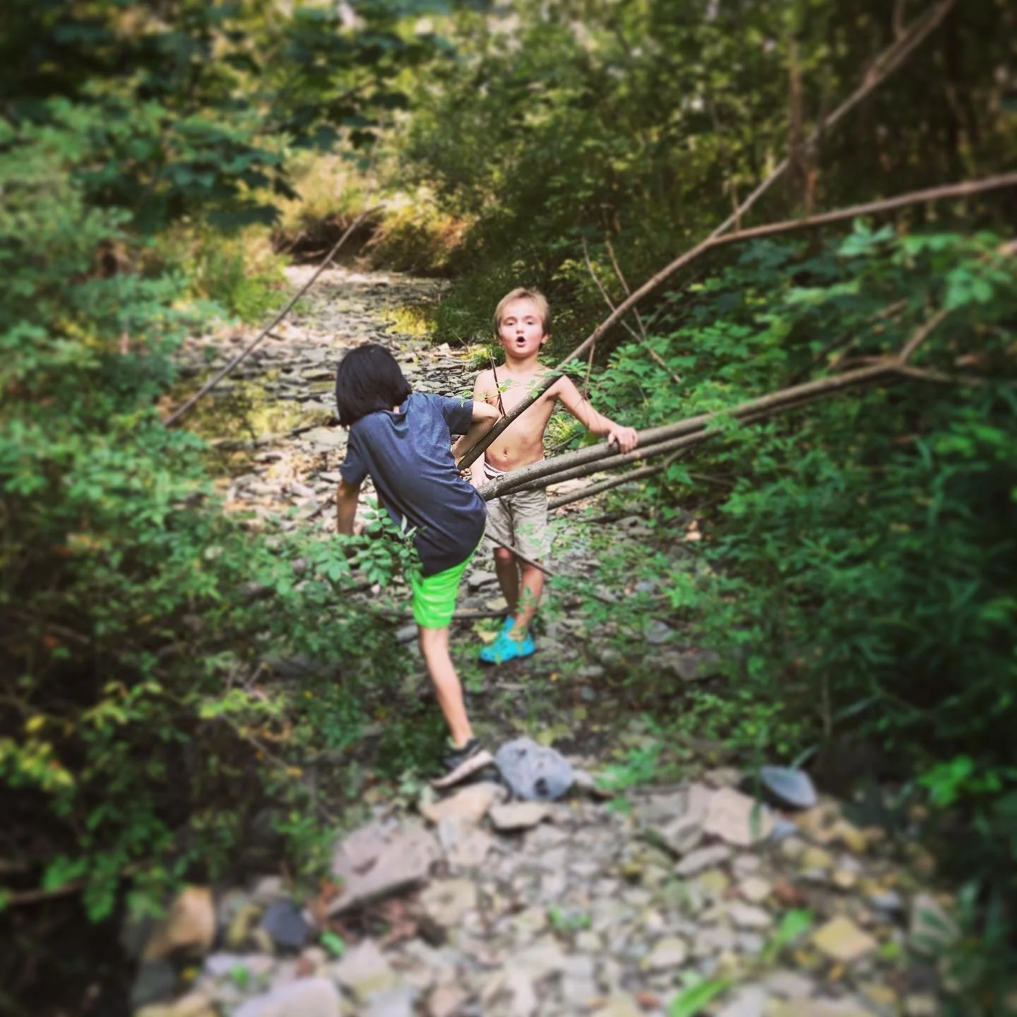 Two young boys playing outdoors in a wooded area over a rocky creek. One boy is shirtless and has a surprised expression, while the other is wearing a dark shirt and bright green shorts, climbing over fallen branches.
