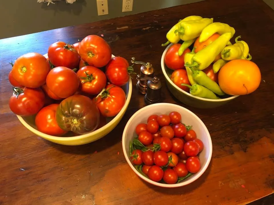 Bowl of heirloom tomatoes, bowl of cherry tomatoes, and bowl of larger tomatoes with peppers on a wooden table.