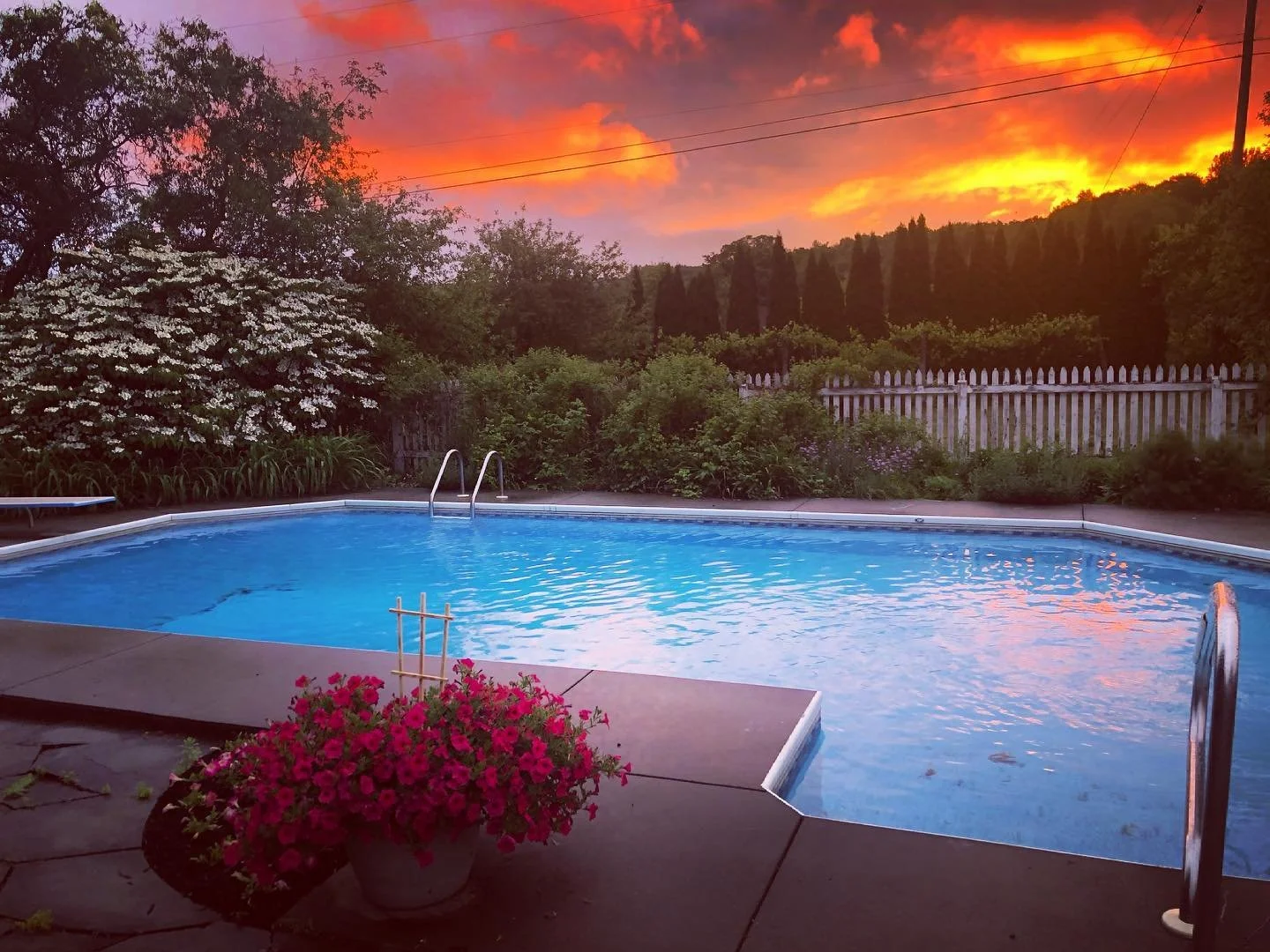 A backyard swimming pool during sunset with colorful sky, surrounded by green bushes, trees, a white picket fence, and potted pink flowers.