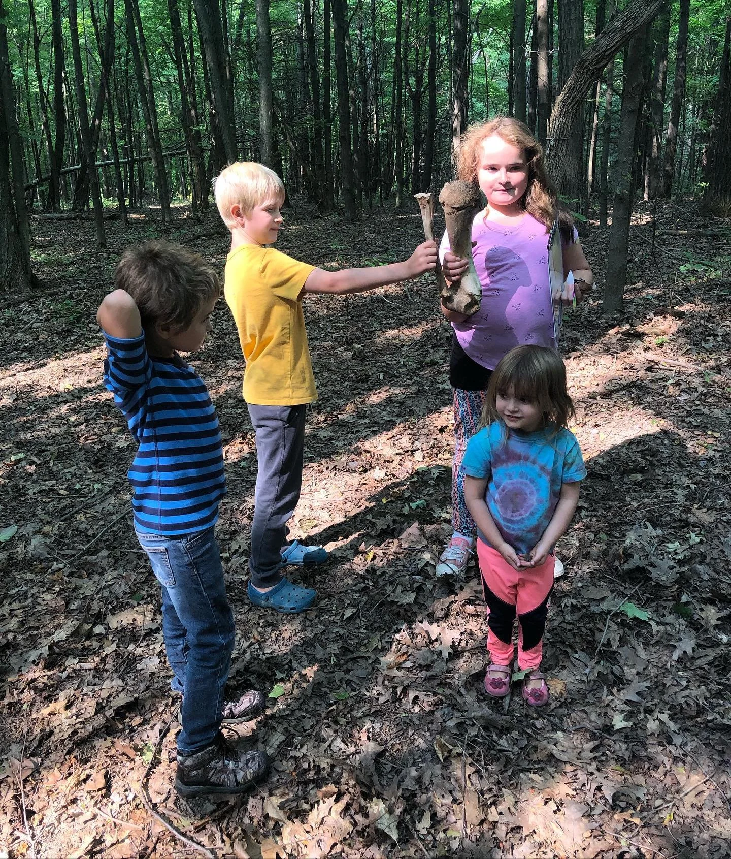Four children exploring in a wooded forest, one girl holding a large bone, and another boy handing her a smaller bone.
