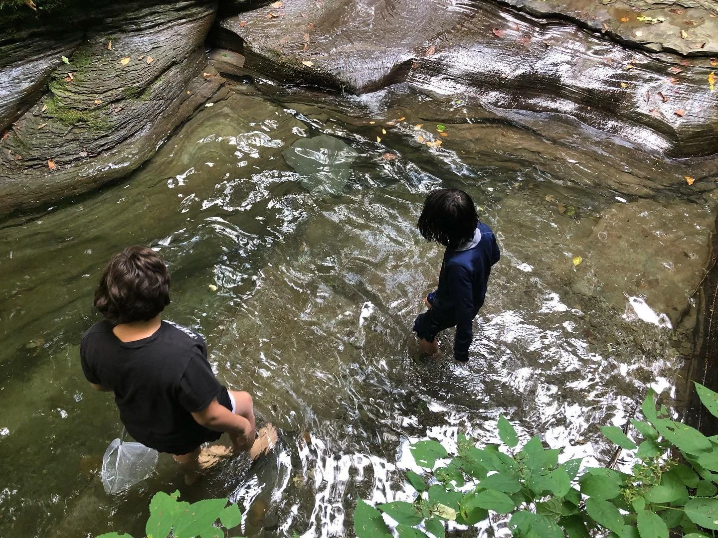Two children wading in a shallow creek surrounded by rocks and green foliage.