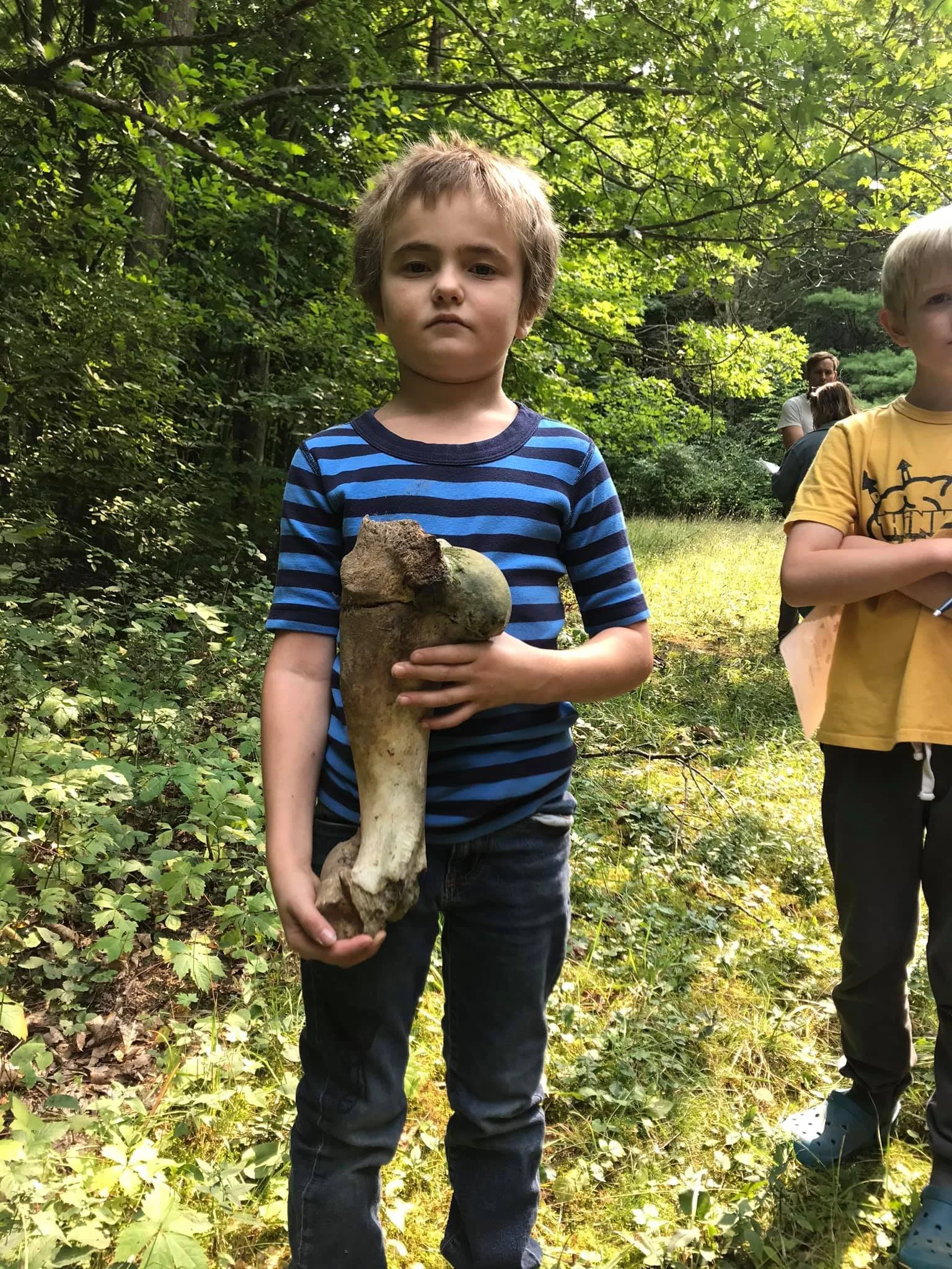 A young boy in a blue and black striped shirt holding a large mushroom in a forested area. Two other children and adults are visible in the background among lush green trees.