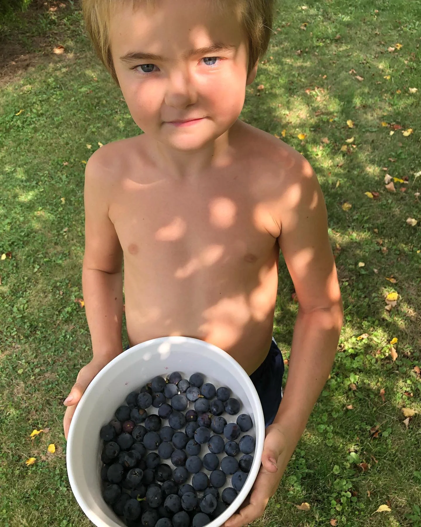 A young boy with no shirt holding a white bowl filled with blueberries outdoors on grass with scattered leaves, shadows of tree branches on his chest and face.