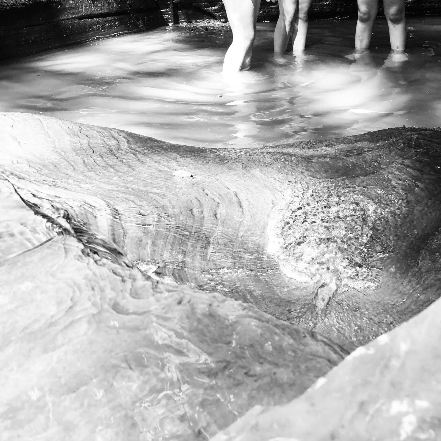 People standing in water in a natural setting, with the focus on a large rock in the foreground.