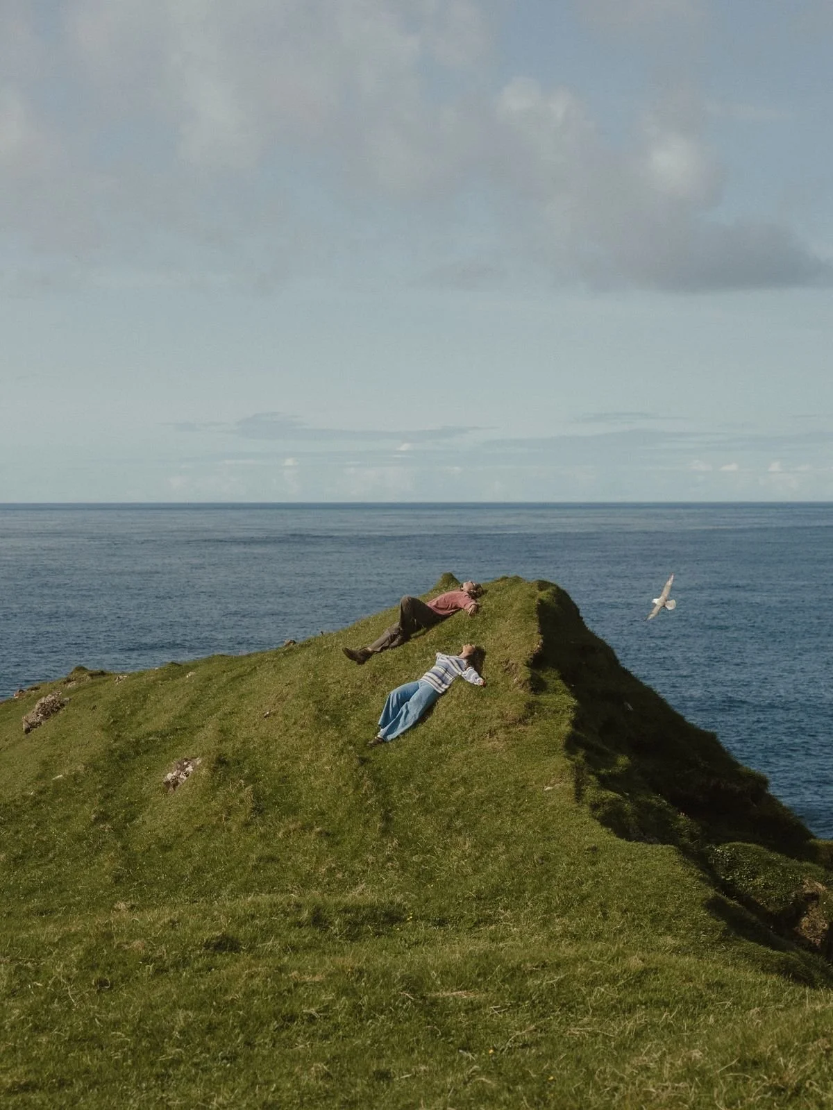 Two people lying on a grassy hill overlooking the ocean, with a bird flying nearby and clouds in the sky.