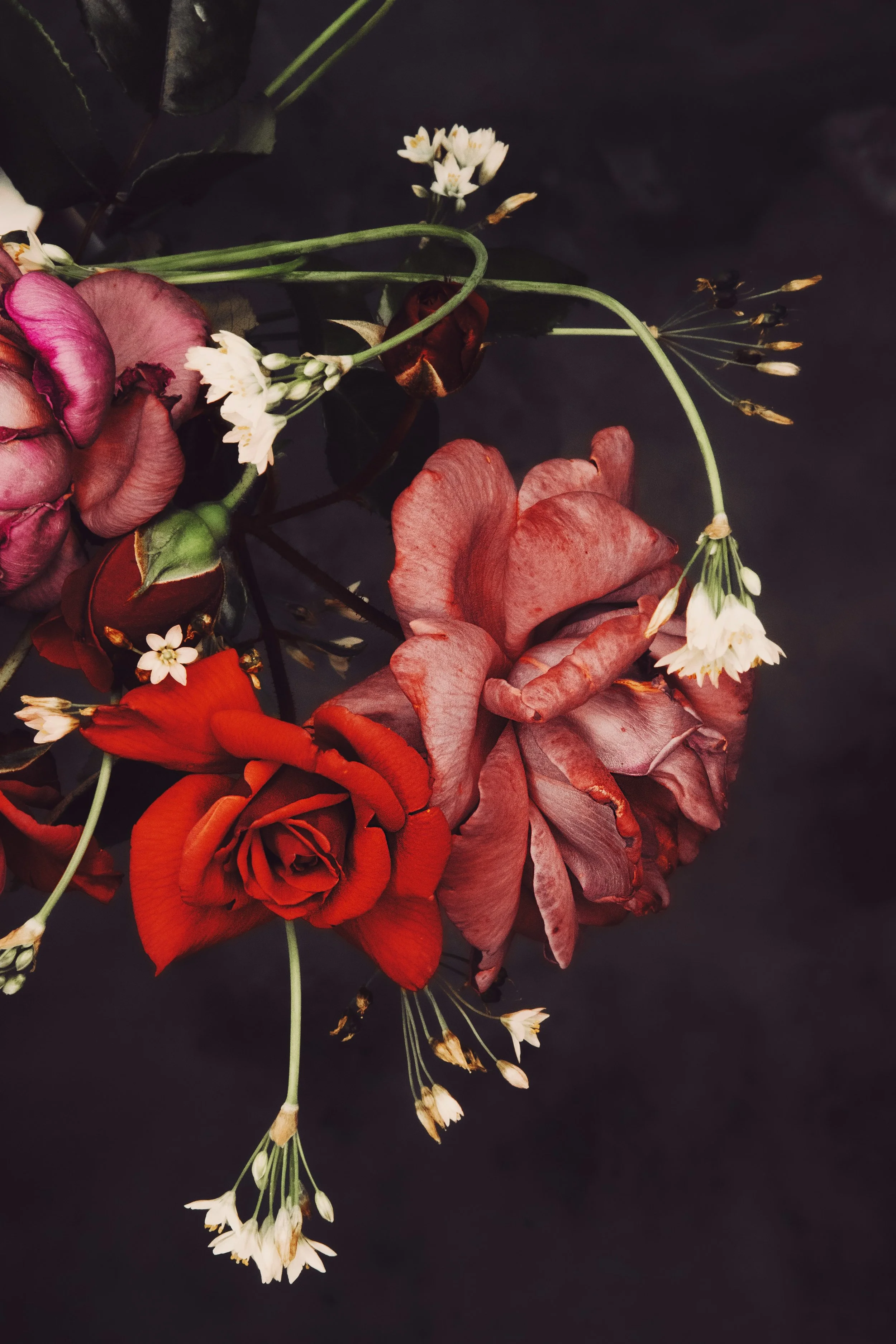 A floral arrangement with red, pink, and orange roses, small white flowers, and dark green leaves on a dark background.