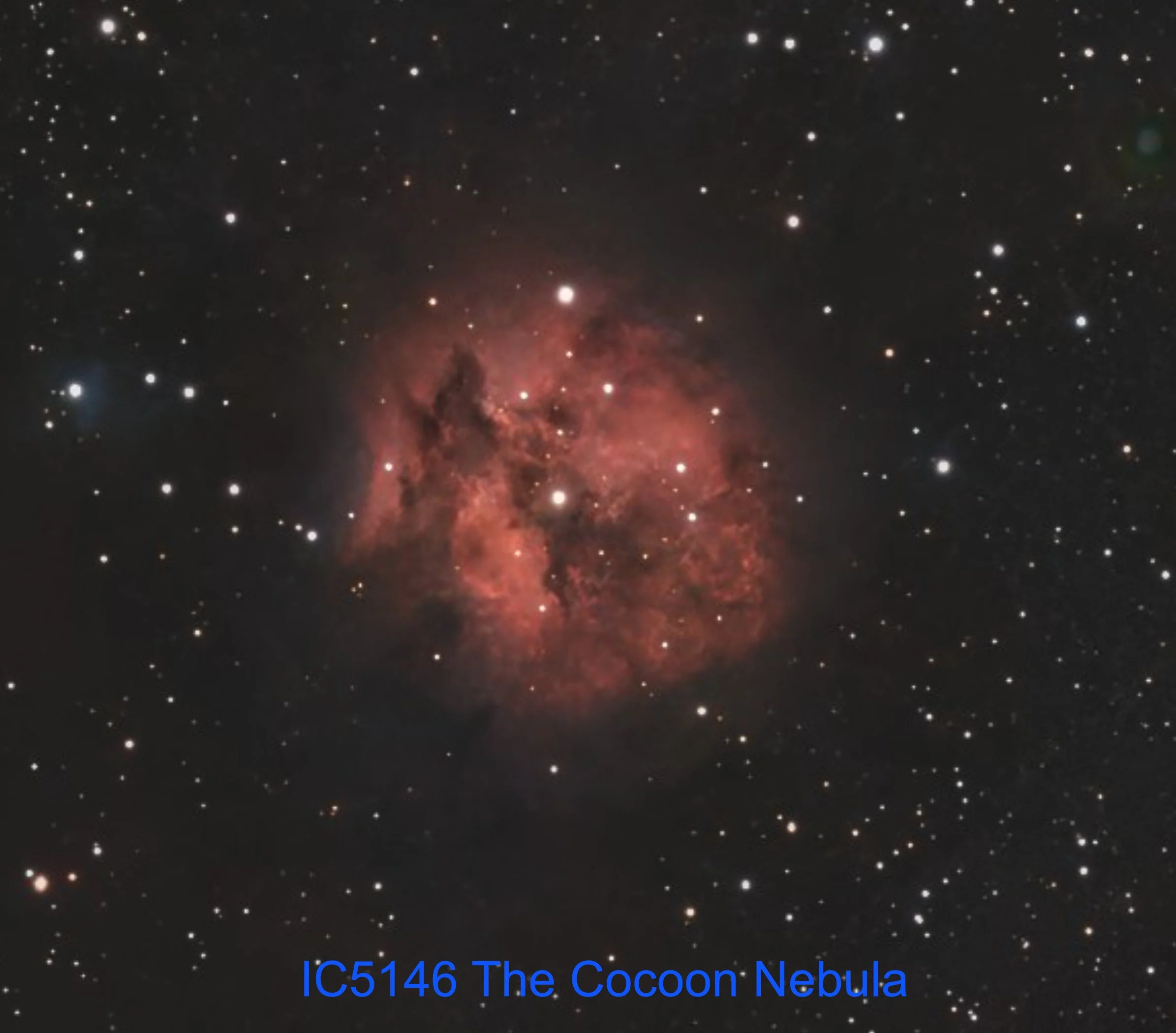The Cocoon Nebula