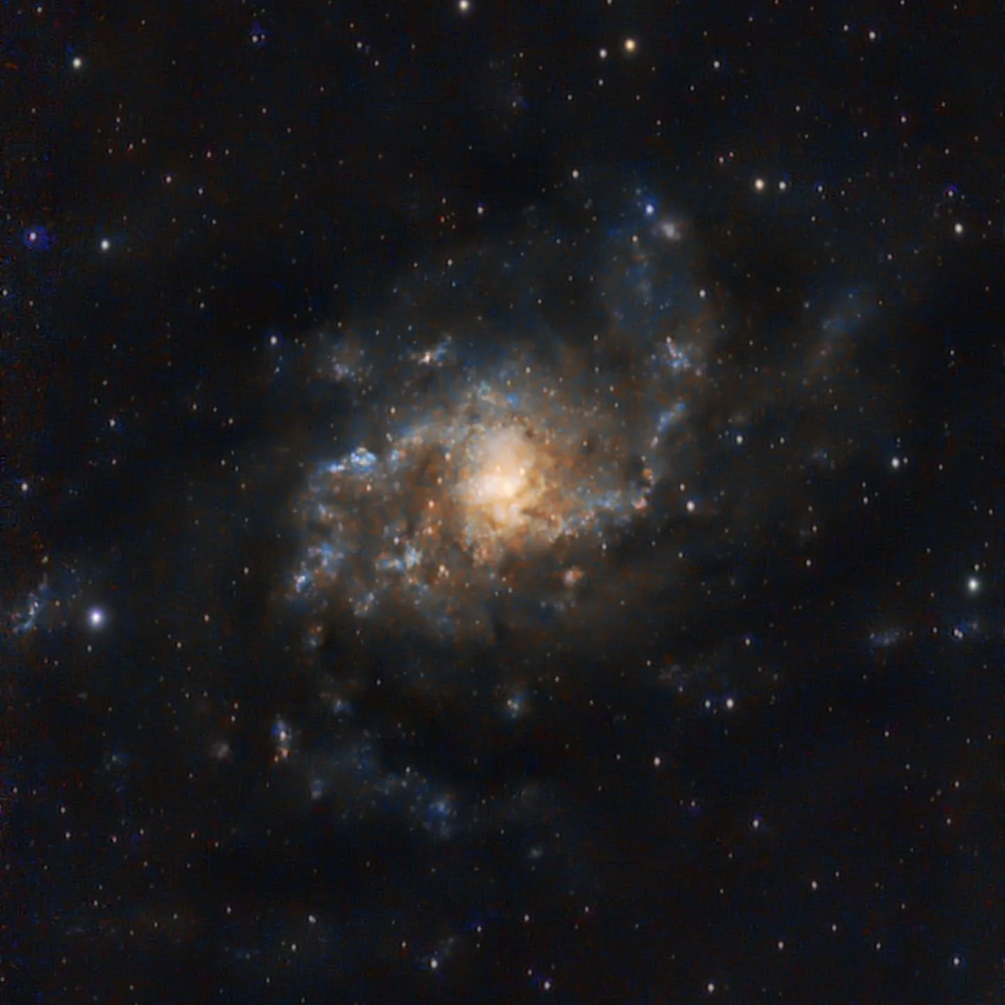 The Triangulum Galaxy (M33) is a spiral galaxy, the third-largest in our Local Group after the Milky Way and Andromeda, located about 3 million light-years away in the constellation Triangulum. It's a popular target for amateur astronomers, visible w