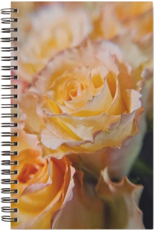 Rose planner.jpg