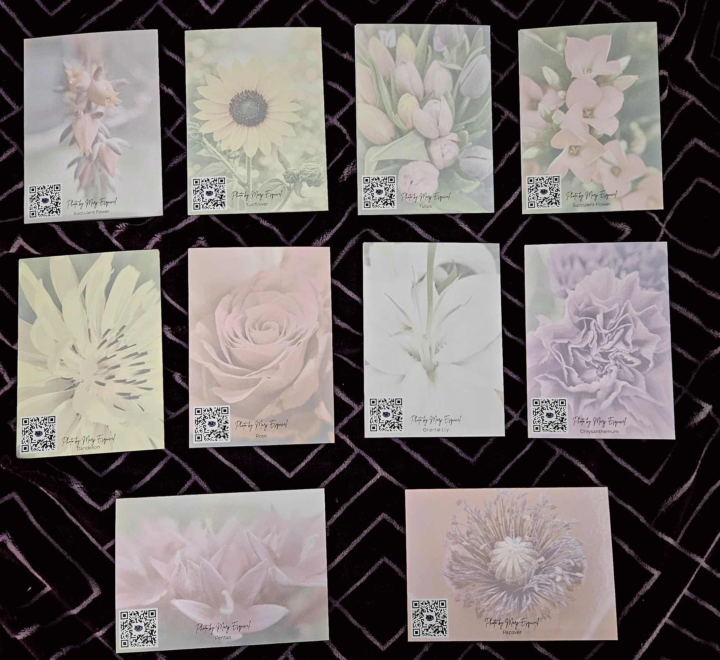 Greeting cards back.jpg