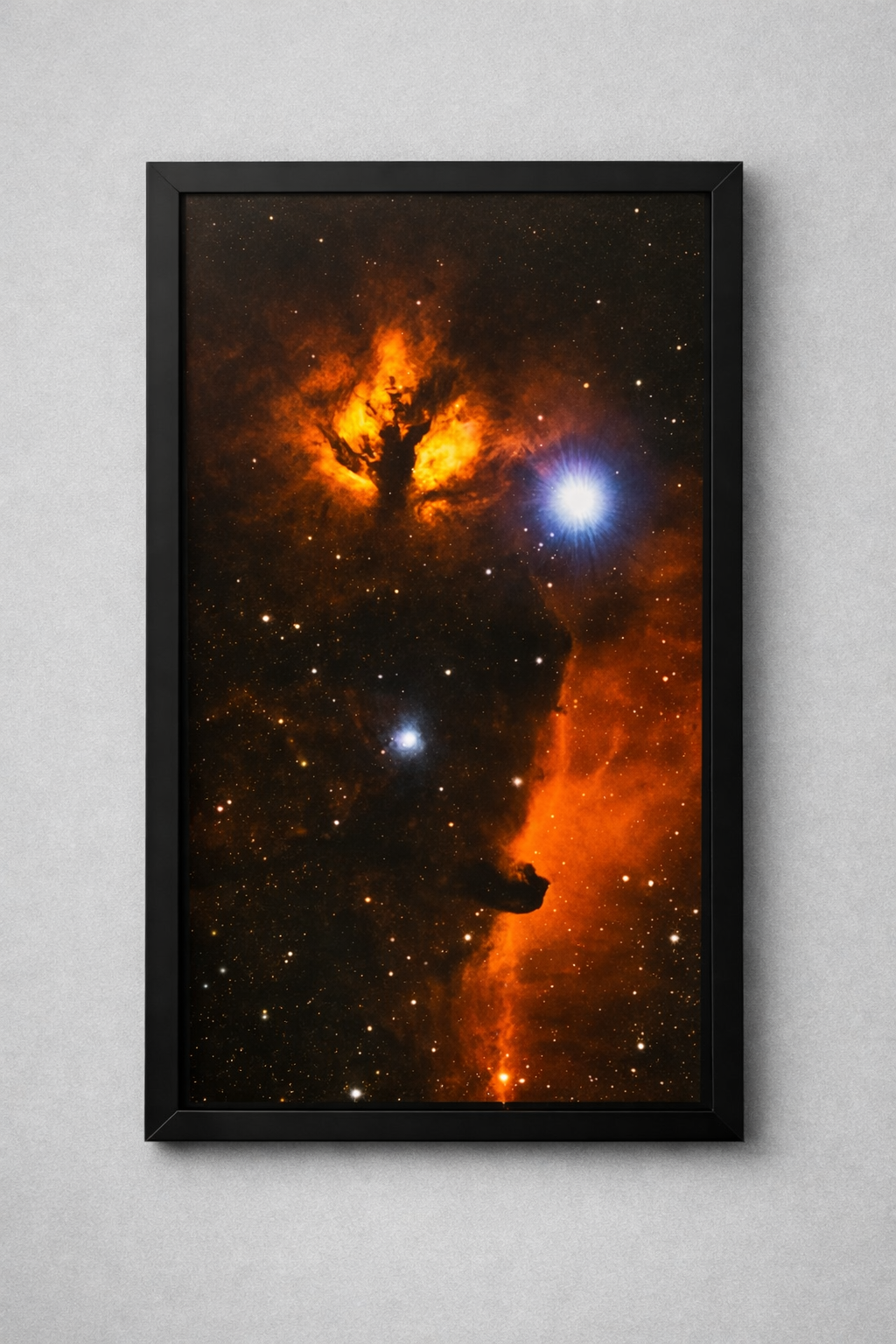 Horsehead framed.jpg