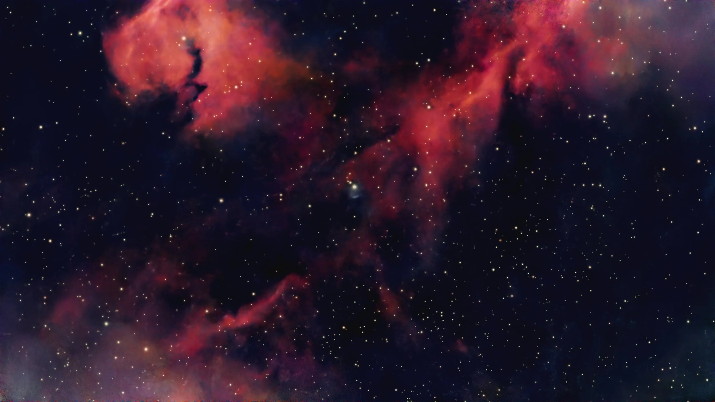 The Seagull Nebula