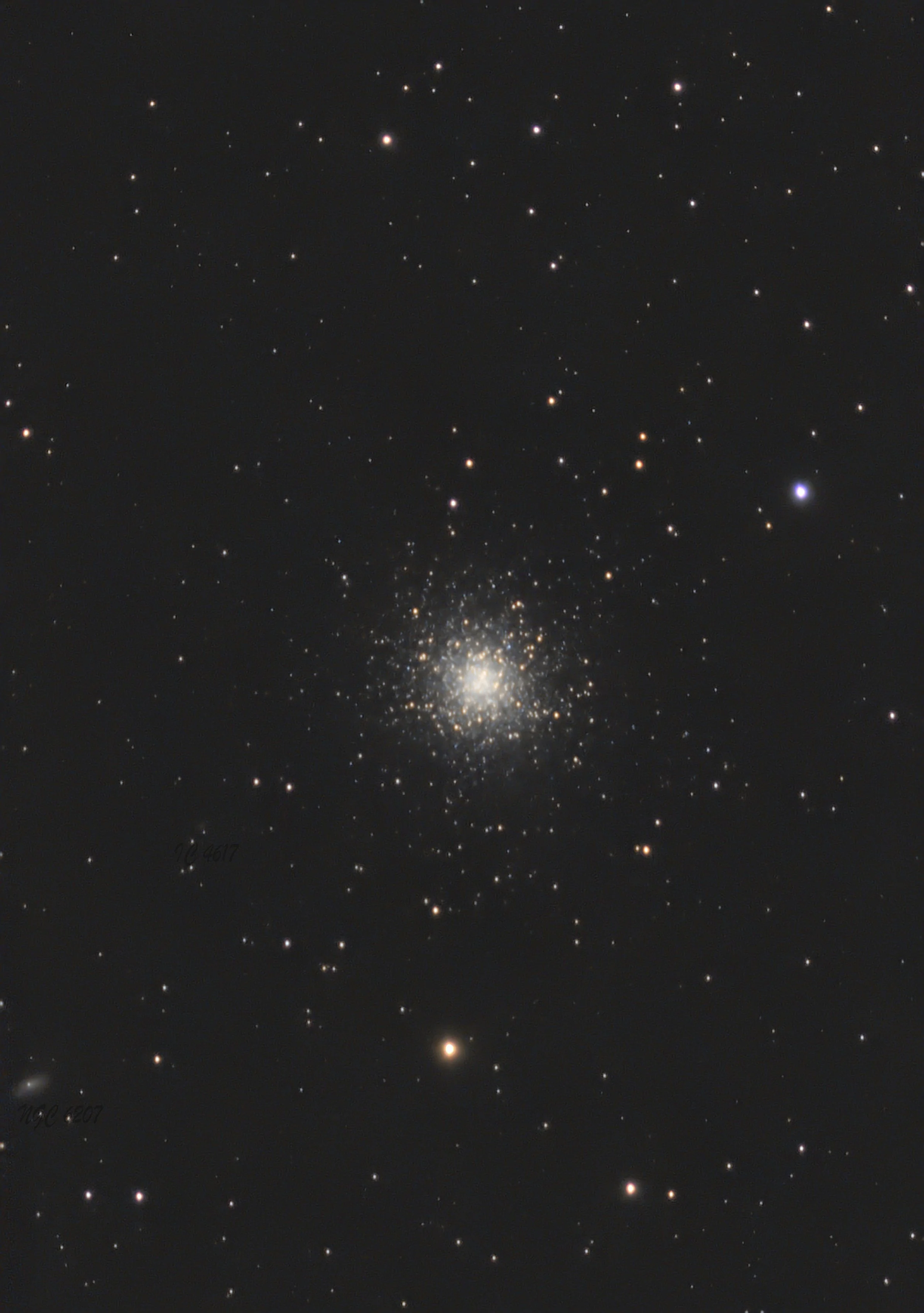 The Great Hercules Cluster